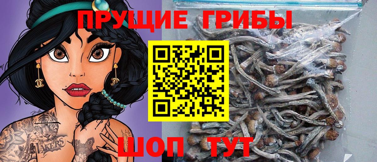 Псилоцибиновые грибы прущие грибы  Вход с VPN  Электросталь  Галлюциногенные грибы MAGIC MUSHROOMS 